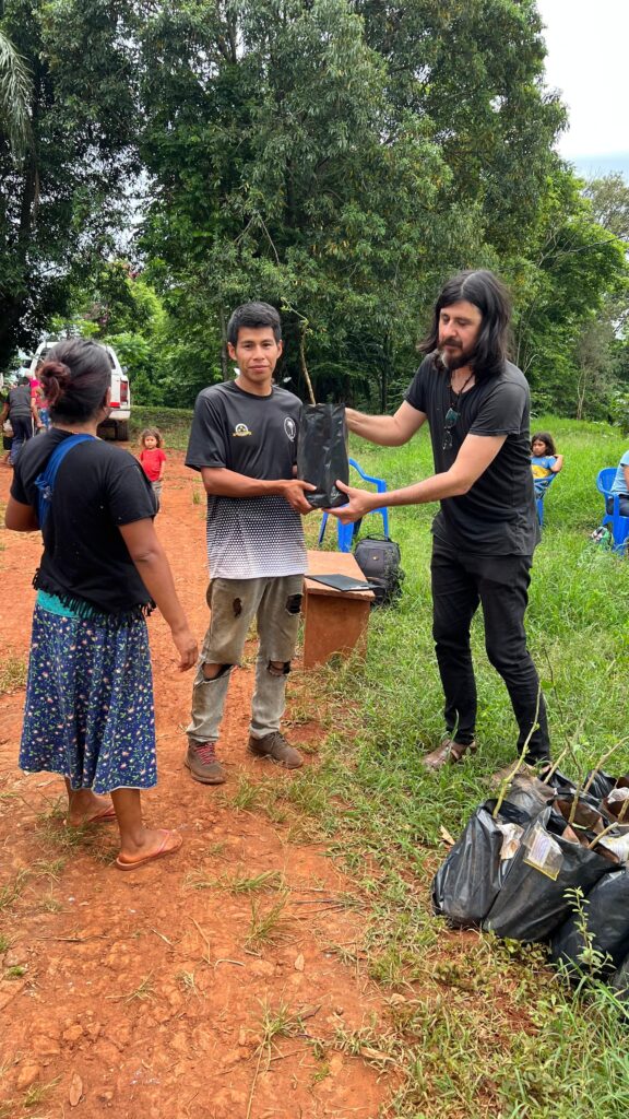 Entrega de planta de citrus
